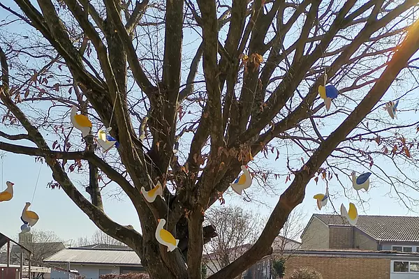 Friedensbaum der Klasse 2b