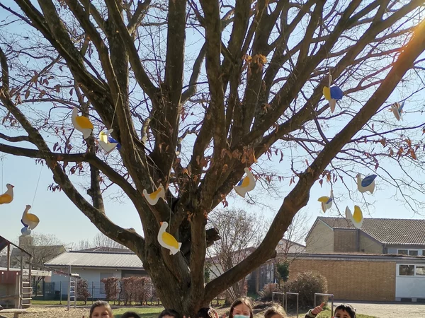 Friedensbaum der Klasse 2b