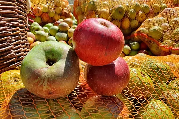 Unsere schönen Äpfel