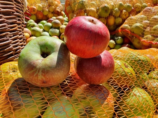 Unsere schönen Äpfel